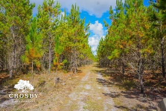 0 Elim Church Rd NE Unit 22878074, Ludowici, GA 31316