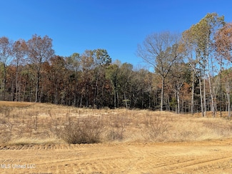 3 Highwoods Dr, Byhalia, MS 38611