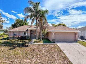 12552 Corrine Ave, Spring Hill, FL 34609