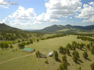 476 Castle Mountain Pass, Guffey, CO 80820