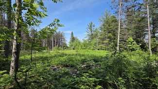 18862 N Old MacKinaw Rd, MacKinaw City, MI 49701