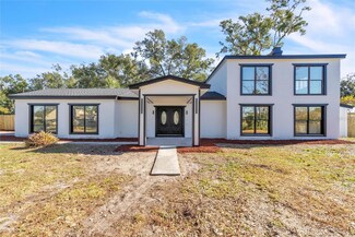 1315 Wheeler Rd, Apopka, FL 32703