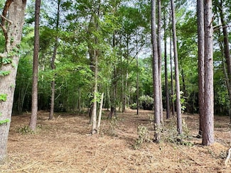 Lot 414 Willow Lake Dr, Leesburg, GA 31763