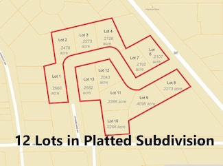 12 Lots Crockett Rd, Palestine, TX 75801