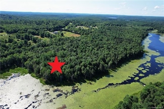 0 Deer Meadow Rd, Bethel, NY 12786