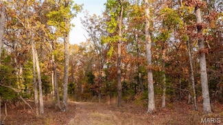 5785 Evergreen Loop, Leslie, MO 63056