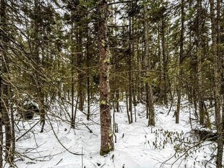 TBD E 4 Corners Rd, Eagle Township, MN 55726