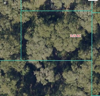 14383 SE 42nd Terrace, Summerfield, FL 34491