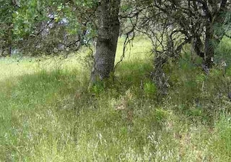 15709 Cache Creek Rd, Clearlake Oaks, CA 95423