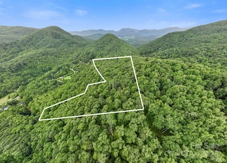 99999 Little Pisgah Rd, Gerton, NC 28735