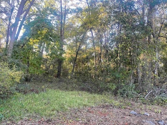 0 Old St Augustine Rd Unit 392582, Tallahassee, FL 32301