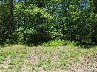 Track 82 & 83 Lake Ridge Rd, Osage Township, MO 65072