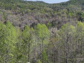 0 Holly Fork Rd, Booneville, KY 40983
