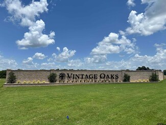 146 Kingston Crossing, Bullard, TX 75757
