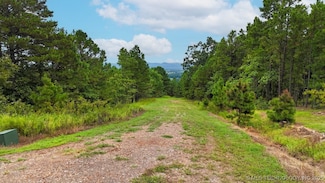 0 1025 Unit 2532096, Buffalo Valley, OK 74571