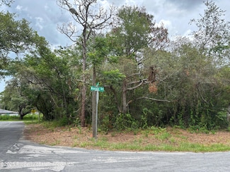 Lot W290 Navajo Trail, Spring Hill, FL 34606