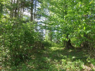 0 Switch Unit 4863327, Canaan, NH 03741