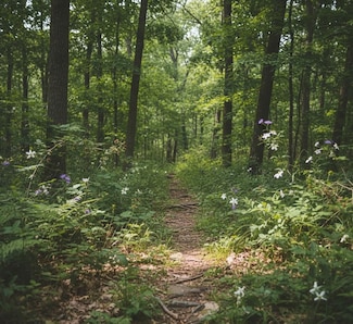 0 Allen Bend Rd Unit 24950165, Smithville, TN 37166