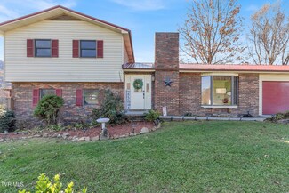 3302 Gap Creek Rd, Hampton, TN 37658