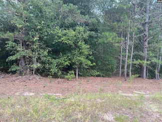 TBD Festival Trail Rd, Salley, SC 29137