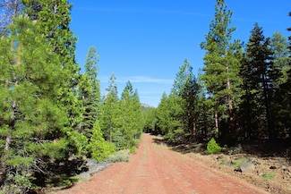 0 Comstock Rd, Alturas, CA 96101