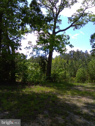0 B 0a Squirrel Hollow, Brodnax, VA 23920