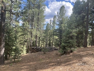 1840 Gulf Stream Dr, Duck Creek Village, UT 84762