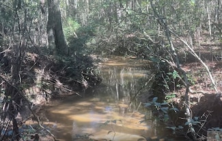 1200 State Highway 472, Pinola, MS 39149