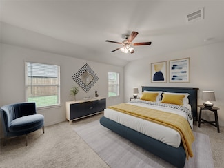 9733 Tinsley St, Aubrey, TX 76227