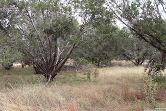 24 Quiet Meadow Cir, Wimberley, TX 78676