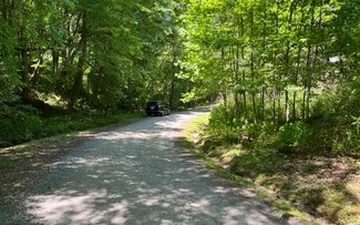 Lot5 Pine Ridge Dr, Warne, NC 28909