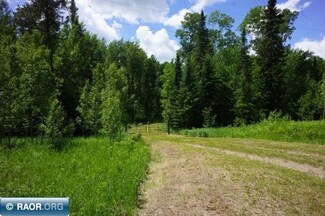 Parcel C Crane Lake Rd, Crane Lake, MN 55725