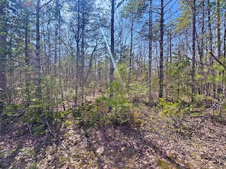 Lot 375 Kauffman Rd, Presque Isle Harbor, MI 49777