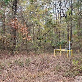 60 acres Private Road 1102, Fouke, AR 71837