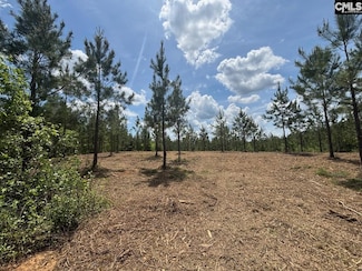 SCF 5 Long Cane Rd Unit SCF 5, Edgefield, SC 29824