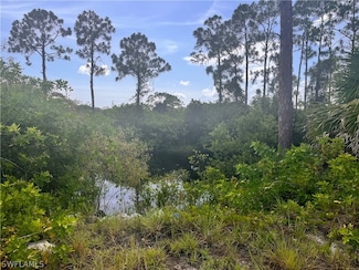 2812 NW 26th Ave, Cape Coral, FL 33993