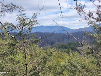 40 Manning Hollow Rd, Sevierville, TN 37876