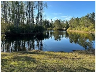 Tract 36, Lot 9 Hidden Lakes at Big Horse, Waynesville, GA 31566