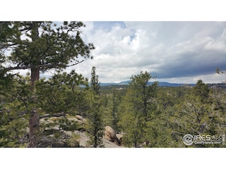 2928 Fox Acres Dr E, Red Feather Lakes, CO 80545