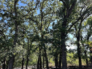 4129 Cactus Dr, Argyle, TX 76226