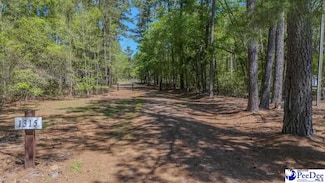 1315 Hill-Harrell Rd, Effingham, SC 29541