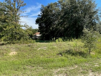 Tbd SW 104th St, Dunnellon, FL 34432
