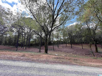 1B County Road 1123, Vinemont, AL 35179