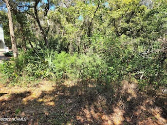17 Musket Ct, Bald Head Island, NC 28461