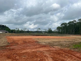 27 M D Thompson Rd, Moselle, MS 39459