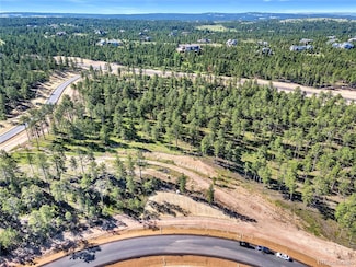 14832 Quartz Creek Dr Unit 28, Black Forest, CO 80908