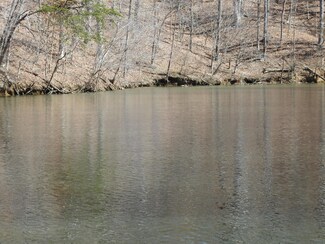 Lot 50 Waterside Dr, Goodview, VA 24095