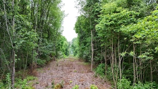 VL 108th Ave, Otsego, MI 49078