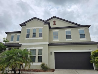 11839 Cross Vine Dr, Riverview, FL 33579