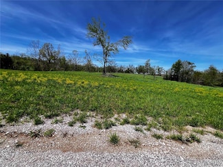 1009 Legacy Ln, Perryville, MO 63775